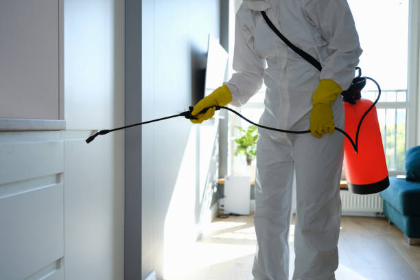 Water Damage Restoration in Carlyle, IL