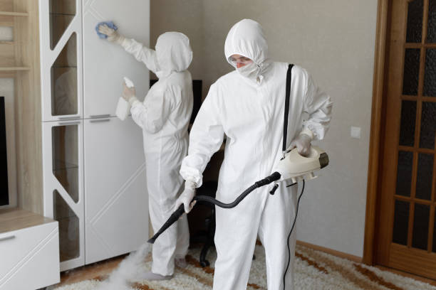 Best Certified Mold Removal  in Carlyle, IL