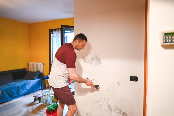 Best Water Damage Restoration  in Carlyle, IL